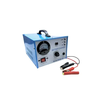 CARGADOR DE BATERIAS 12 Y 24V 100A